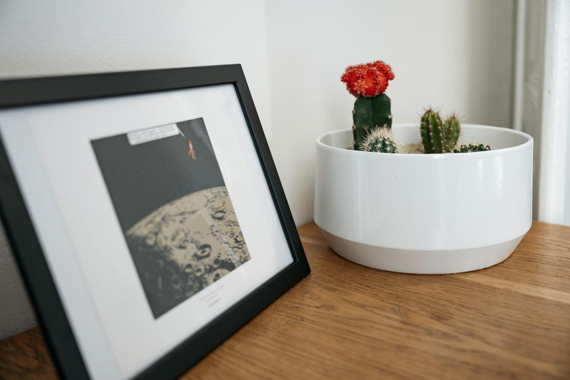 Comfortable And Cosy Apt A Few Steps From Dancing House And Naplavka Dance Prague Ngoại thất bức ảnh